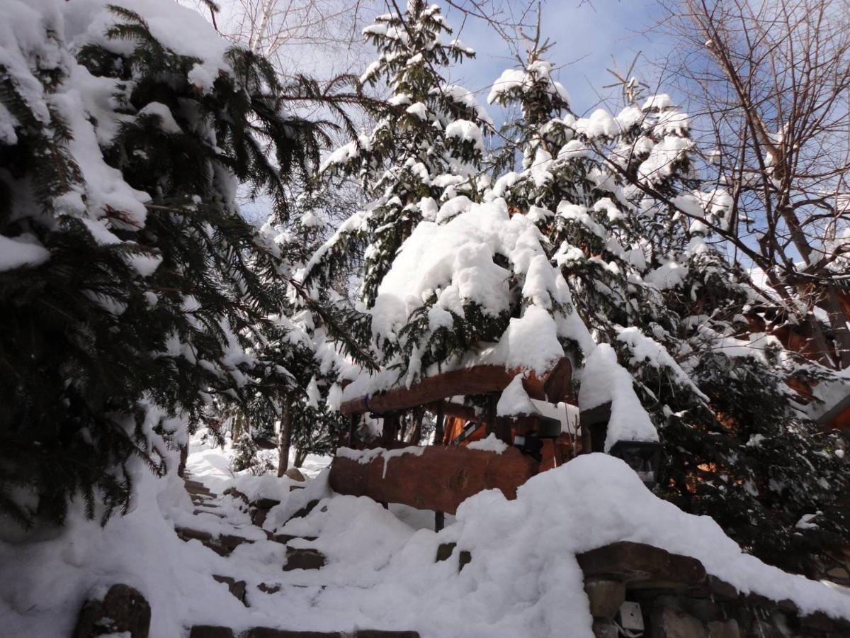Domki Mroz Zakopane Exterior foto